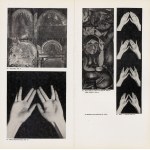Reality documents. Drawing. Graphics. Photography. Exhibition catalog [1979] [AUTOGRAPH OF IRENA JAKIMOWICZ] [Natalia LL, Opałka, Dłubak, Cieślewicz, Rózga and others].