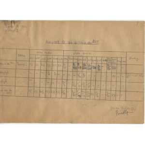 [Warsaw Uprising] Battalion Milosz - company Bradl. Handwritten report on the condition of men and weapons dated 20.09.1944. [with signature of Kazimierz Leski a.k.a. Bradl].