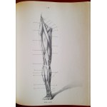 BARCSAY Jeno - Anatomy for Artists
