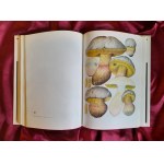 DERMEK Aurel, PILAT Albert - Getting to know mushrooms