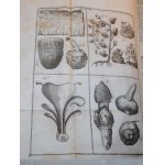 1686 BONET Théophile, Medicina septentrionalis collatitia, sive rei medicæ, nuperis annis a medicis Anglis, Germanis &amp; Danis emissae, sylloge &amp; syntaxis (...).