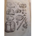 1686. BONET Théophile, Medicina septentrionalis collatitia, sive rei medicæ, nuperis annis a medicis Anglis, Germanis & Danis emissae, sylloge & syntaxis (…).