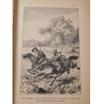 1892. MEYNERS D'ESTREY DES FRASMES [G. H. J.], Les frères Botha (…).