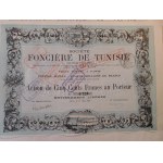1885-1970. Eine Sammlung von 9 französischen Kolonialaktionen aus MAGREB.