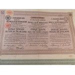 1895. COLLECTION OF 2 BONDS OF THE TSAR'S RAILROADS - MOSCOW-KIYAH-VORONEZH.