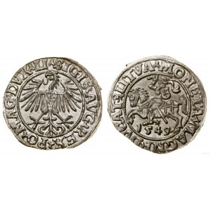 Polska, półgrosz litewski, 1549, Wilno