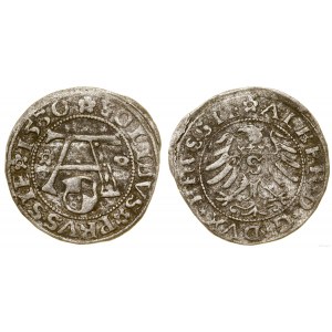 Prusy Książęce (1525-1657), szeląg, 1530, Królewiec