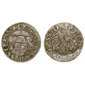 Prusy Książęce (1525-1657), szeląg, 1531, Królewiec