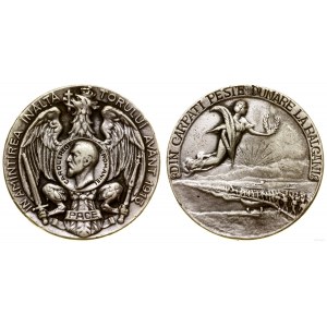 Rumunia, Medal Wysiłku Kraju, 1913