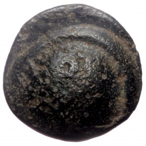 UNCERTAIN. Black Sea Region (?) AE (Bronze, 1.22g, 11mm) ca 3rd-1st centuries BC