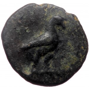 Aeolis,Kyme, AE (Bronze, 10,5 mm, 0,83 g), ca. 320-250 BC.