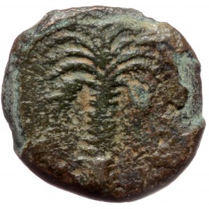 Ionia, Smyrna, AE (bronze, 1,41 g, 12 mm) Circa 260-245 BC