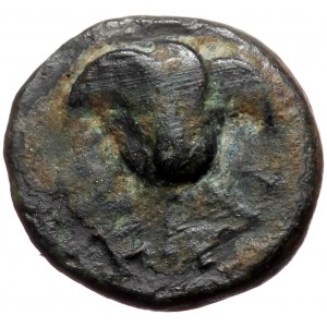 Caria, Aphrodisias and Plarasa, AE (bronze, 1,03 g, 10 mm) 1st cent. BC