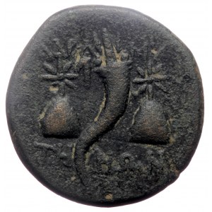 Mysia, Adramyteion, AE 21 (Bronze, 6.88g, 21mm) Time of Mithradates VI