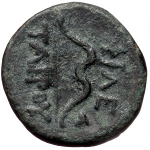 Pergamene Kingdom, Philetairos (282-263 BC) AE (bronze, 1,88 g, 14 mm)
