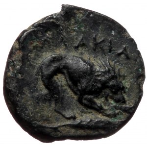 Mysia, Plakia, AE (bronze, 1,00 g, 13 mm) 4th century BC