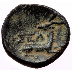Pisidia, Selge AE (Bronze, 2.01g, 14mm) civic issue 1st-2nd centuries BC