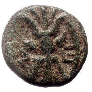 Pisidia, Selge AE (Bronze, 13mm, 2.82g). c. 2nd-1st century BC.