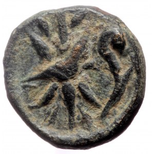 Pisidia, Selge AE (Bronze, 12mm, 2.36g). c. 2nd-1st century BC.