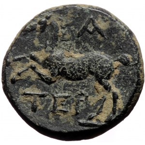 Pisidia,Termessos, AE (Bronze, 17,7 mm, 4,90 g), 1st century BC, year A (1) = 72/71 BC.