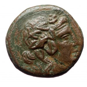 Pontos, Amisos AE19 (Bronze, 7.72g, 20mm), ca 105-65 BC time of Mithradates II