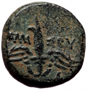 Pontos, Amisos AE (Bronze, 3.09g, 14mm) Civic issue under Mithradates VI Eupator. ca 85-65 BC