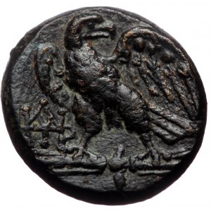 Pontos, Amisos, AE 20 (bronze, 8,44 g, 20 mm) time of Mithridates VI Eupator (120-63 BC) Obv: Laureate head of Zeus righ