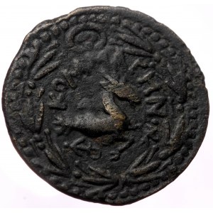 Kings of Commagene, Antiochos IV (38-72 AD) AE (Bronze, 7.88g, 23mm)