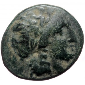 Sleucid Kingom, Sardes, Antiochus II Theos (261-246 BC) Ae (bronze, 4,40 g, 19 mm)
