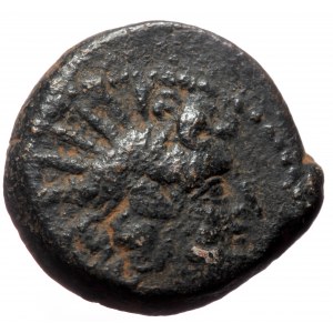 Seleukid Kings of Syria, Antiochos VIII Epiphanes Grypos (121-97 BC) AE (Bronze, 19mm. 5.69g)