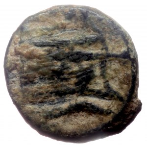 Unreaserched Asia Minor Greek coin (Bronze, 1.44g, 10mm)
