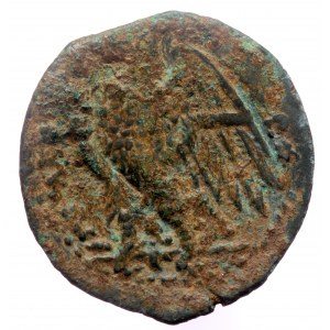 Ptolemaic Kingdom of Egypt, Ptolemy II Philadelphos, Alexandria, AE hemiobol (Bronze, 5.82g, 20mm) ca 265-246 BC