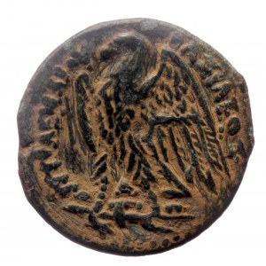 Ptolemaic Kingdom of Egypt, Ptolemy II Philadelphos, Alexandria, AE hemiobol (Bronze, 4.76g, 20mm) ca 265-246 BC