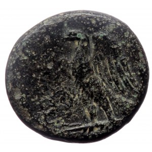 Unreaserched AE Greek coin (Bronze, 3.77g, 16mm)