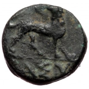 Unreaserched Greek AE (Bronze, 1.05g, 9mm)