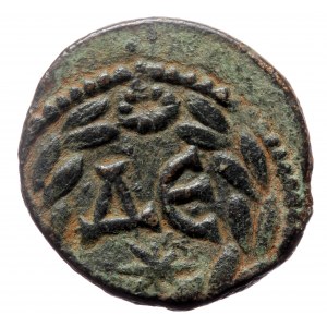 Syria, Antioch, AE (Bronze, 9.73g, 22mm) Elagabalus (218-222)