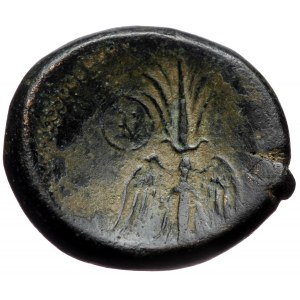 Syria, Seleukis and Pieria AE (Bronze, 27,2 mm, 17,84 g) Seleukeia Pieria. 2nd-1st centuries BC. Æ 24mm (13.89 g, 6h).
