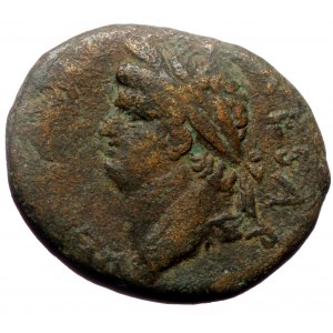 Syria, Antioch, AE as (Bronze, 7.51g, 24mm) Domitian, as Caesar (ca AD 69-81)