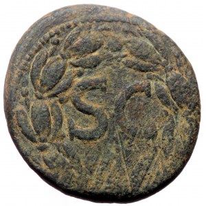 Syria, Seleucis and Pieria, Antiochia, Trajan (98-117), AE (Bronze, 27,1 mm, 15,26 g), 116/7.