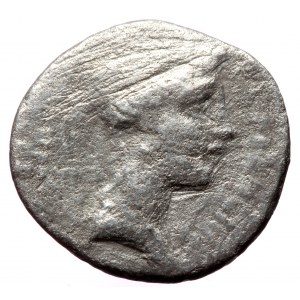 Cn. Plancius, AR denarius (Silver, 3.14g, 19mm) 55 BC, Rome