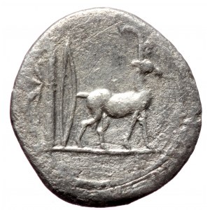 Cn. Plancius, AR denarius (Silver, 3.14g, 19mm) 55 BC, Rome