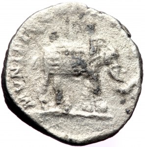Septimius Severus (193-211), AR denarius (Silver, 17,1 mm, 2,58 g), Rome, 197.