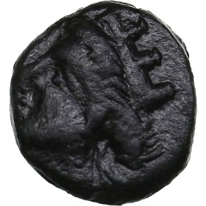Skythia, Olbia Æ12 Circa 360-350 BC.