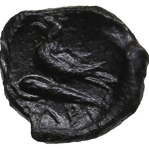 Skythia, Olbia Æ11 Circa 325-320 BC.