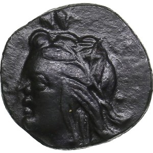 Skythia, Olbia Æ13 Circa 325-320 BC.