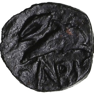 Skythia, Olbia Æ8 Circa 325-320 BC.