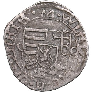 Hungary AR Denar - Vladislav II (1490-1516)