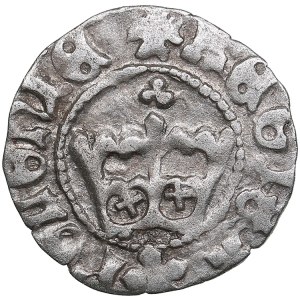 Poland 1/2 Grosz - John I Albert (1459-1501)