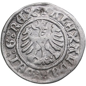 Poland 1/2 Grosz - Alexander I Jagiellon (1501-1506)