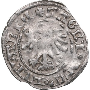 Polish-Lithuanian Commonwealth 1/2 Grosz ND - Alexander Jagiellon (1492-1506)